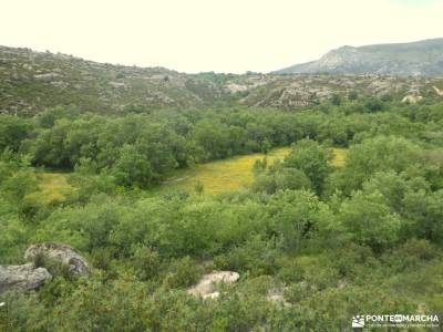 Cascada del Cancho; campos de lavanda molina de aragon turismo blog senderismo el salto del nervion 